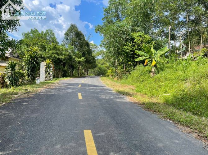 CHÍNH CHỦ BÁN LÔ ĐẤT ĐẸP – 1000M² MẶT TIỀN QUY HOẠCH 26M – TIỀM NĂNG SINH LỜI CỰC KHỦNG - 2