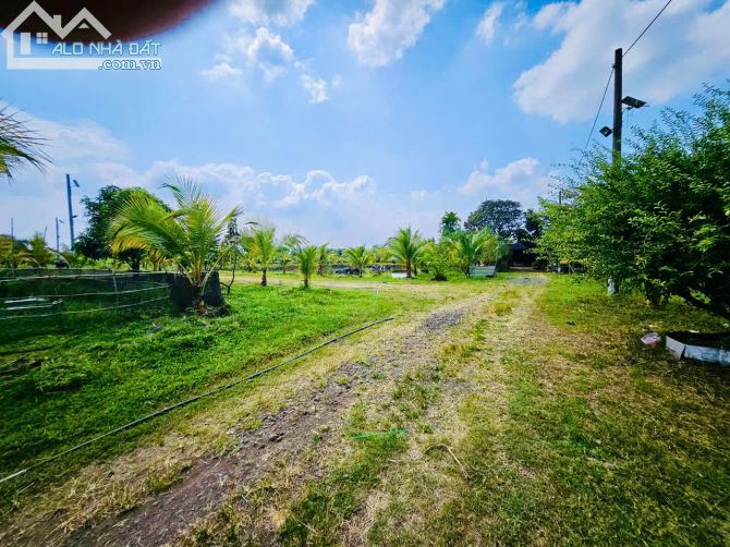🏡 Bán Đất + Nhà Rường Huế 3 Gian Gỗ & Nhà Cấp 4 Mới Xây - Hưng Thịnh, Trảng Bom, Đồng Nai - 2