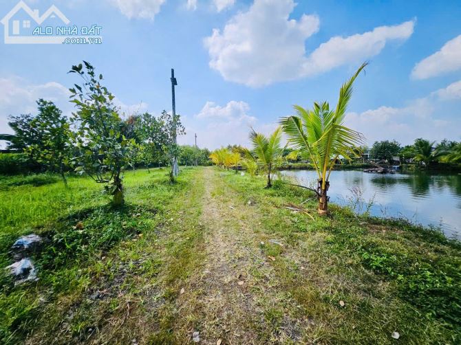 🏡 Bán Đất + Nhà Rường Huế 3 Gian Gỗ & Nhà Cấp 4 Mới Xây - Hưng Thịnh, Trảng Bom, Đồng Nai - 5