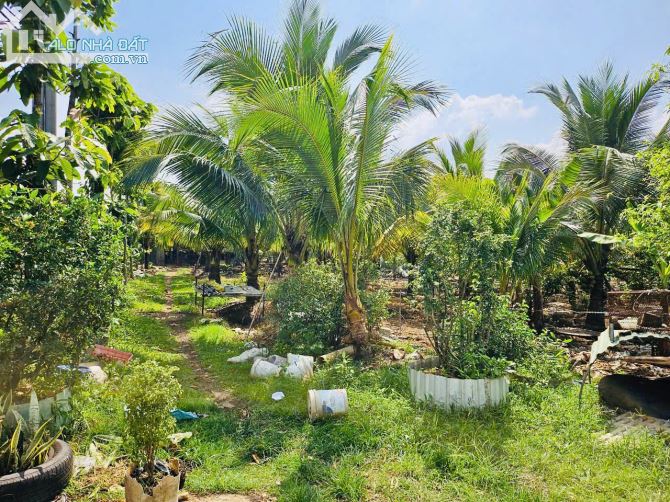 🏡 Bán Đất + Nhà Rường Huế 3 Gian Gỗ & Nhà Cấp 4 Mới Xây - Hưng Thịnh, Trảng Bom, Đồng Nai - 7