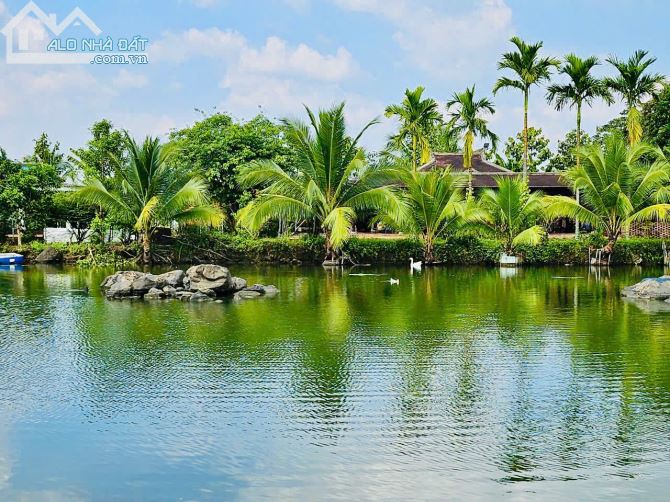 🏡 Bán Đất + Nhà Rường Huế 3 Gian Gỗ & Nhà Cấp 4 Mới Xây - Hưng Thịnh, Trảng Bom, Đồng Nai - 9