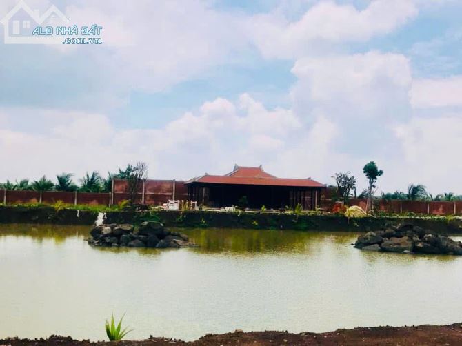 🏡 Bán Đất + Nhà Rường Huế 3 Gian Gỗ & Nhà Cấp 4 Mới Xây - Hưng Thịnh, Trảng Bom, Đồng Nai - 10